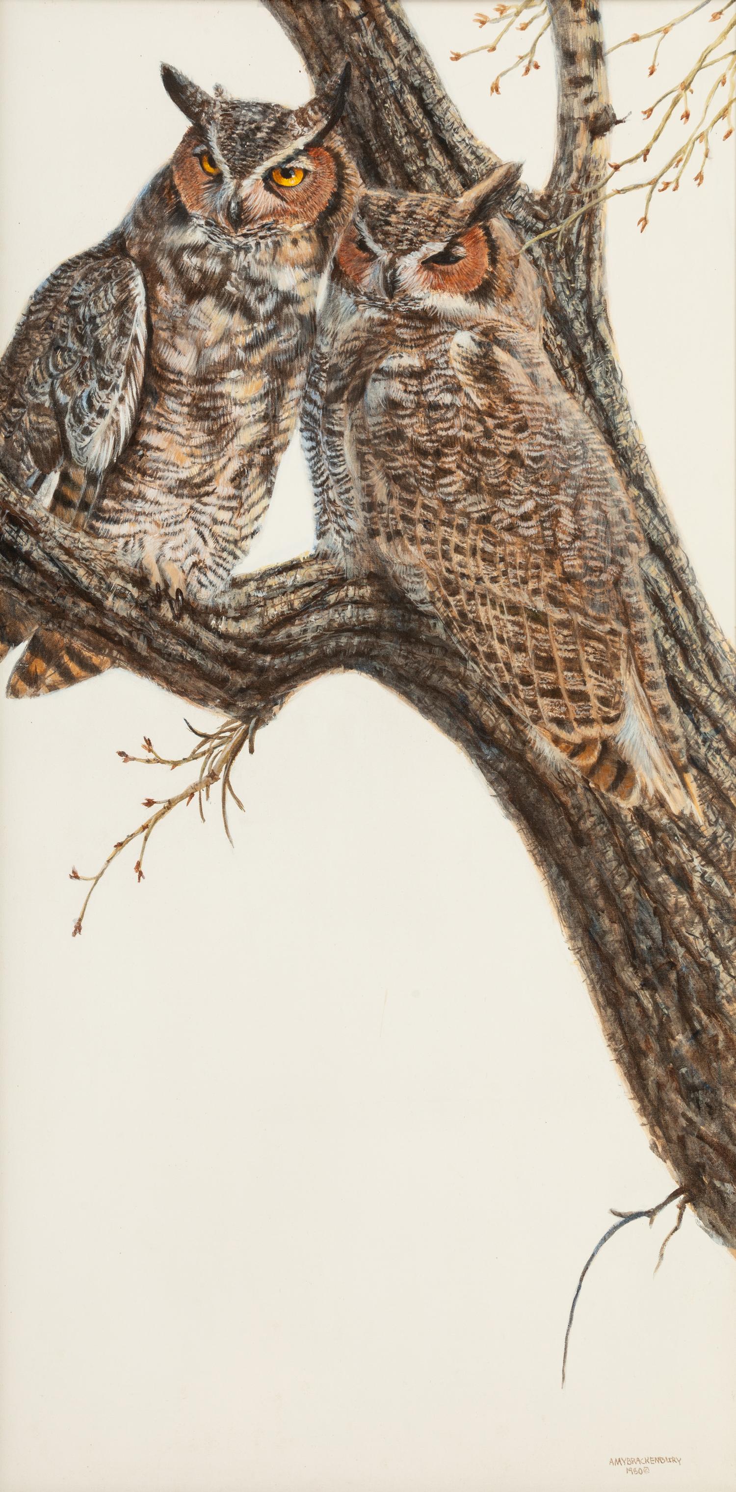 Horned Owl , 1980
