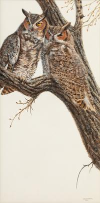Horned Owl , 1980