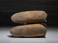 Haudenosaunee Quilled and Beaded Hide Moccasins