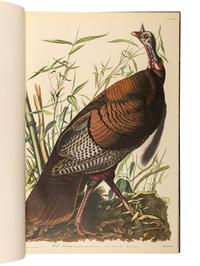 AUDUBON, John James (1785-1851). The Birds of America . New York and Amsterdam: Johnson Reprint Co. & Theatrum Orbis Terrarum [i.e. Nico Israel], 1971-1972.