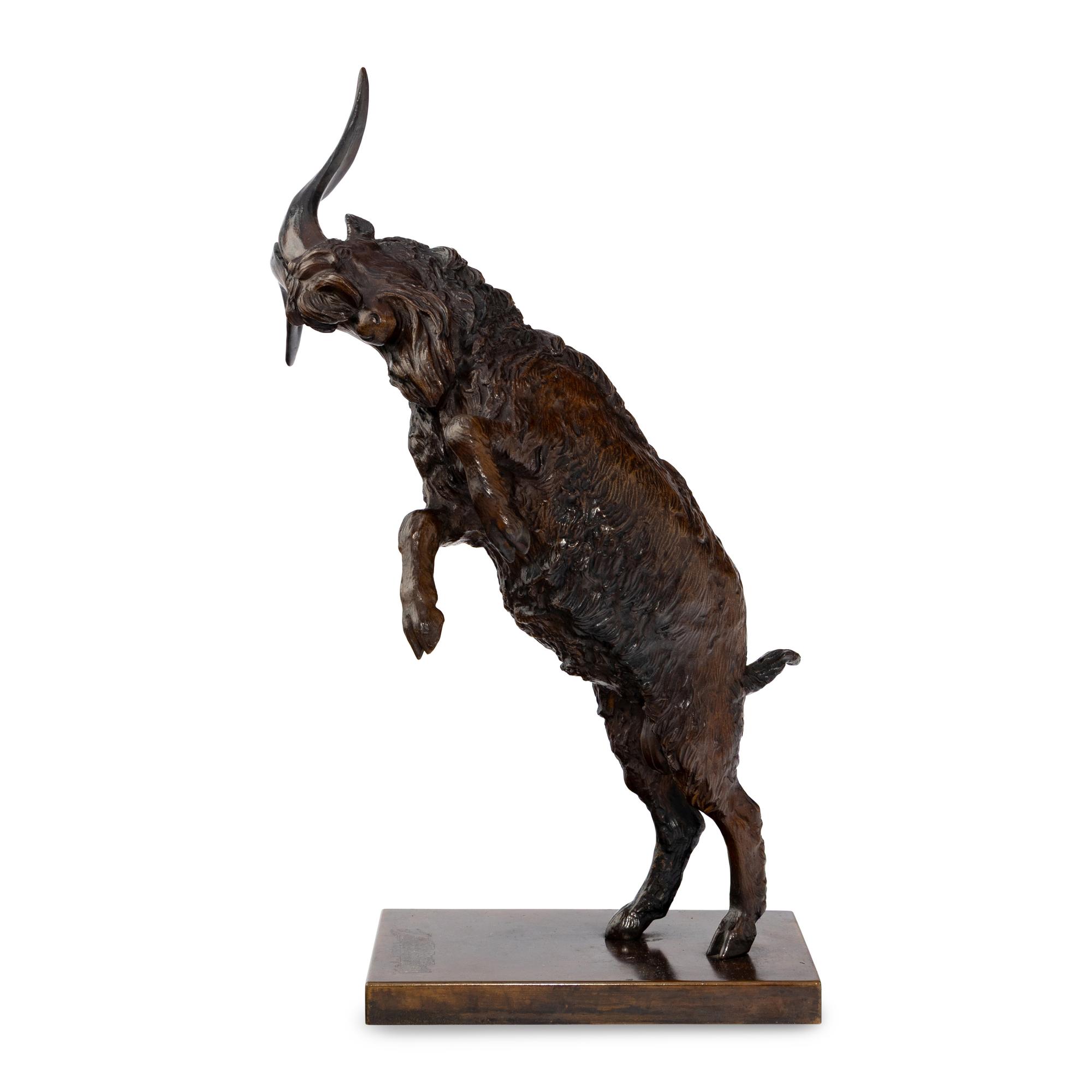 Mountain Goat