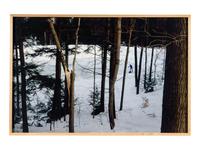 Peter Doig (born 1959) Selected images from the series "As Yet Untitled," 2000
