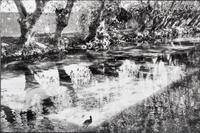 Henri Cartier-Bresson (1908-2004) L'Isle-sur-la-Sorgue, 1990