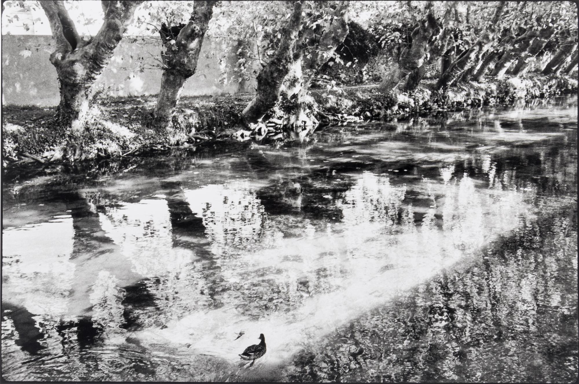 Henri Cartier-Bresson (1908-2004) L'Isle-sur-la-Sorgue, 1990