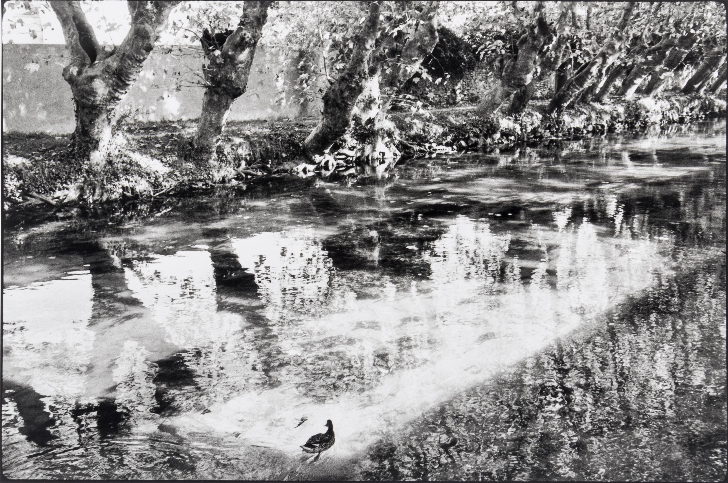 Henri Cartier-Bresson (1908-2004) L'Isle-sur-la-Sorgue, 1990