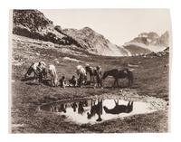 [NATIVE AMERICANS]. REED, Roland W. (1864-1934), photographer. A group of 3 large-format photographs of Native American subjects.