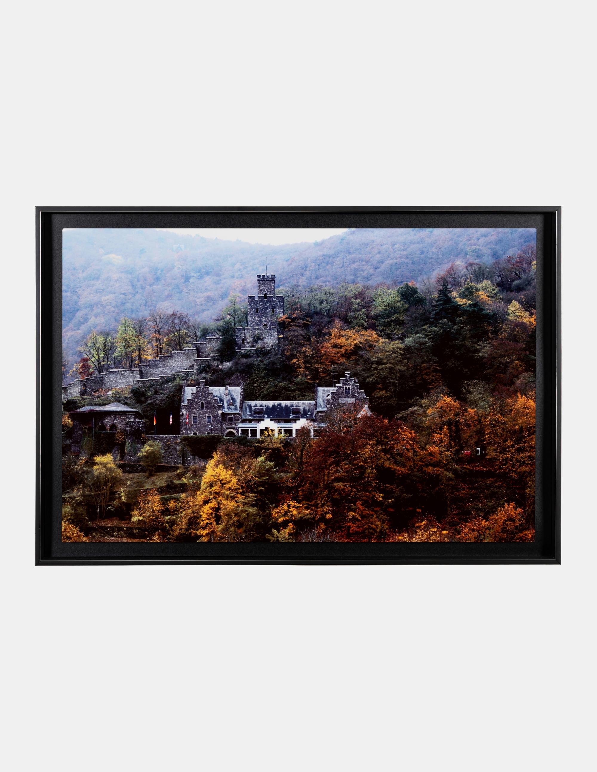 Rhine Valley Gorge Castle