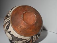 Acoma Polychrome Pottery Jar