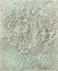 Mario Reis, (German, b. 1953), Salt Iron, 1996 (two works)
