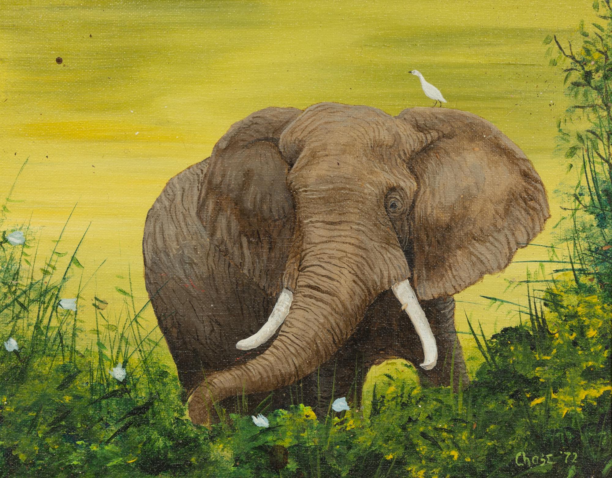 Elephant