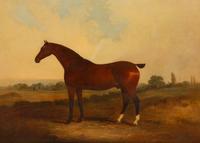 Untitled (Bay Hunter)