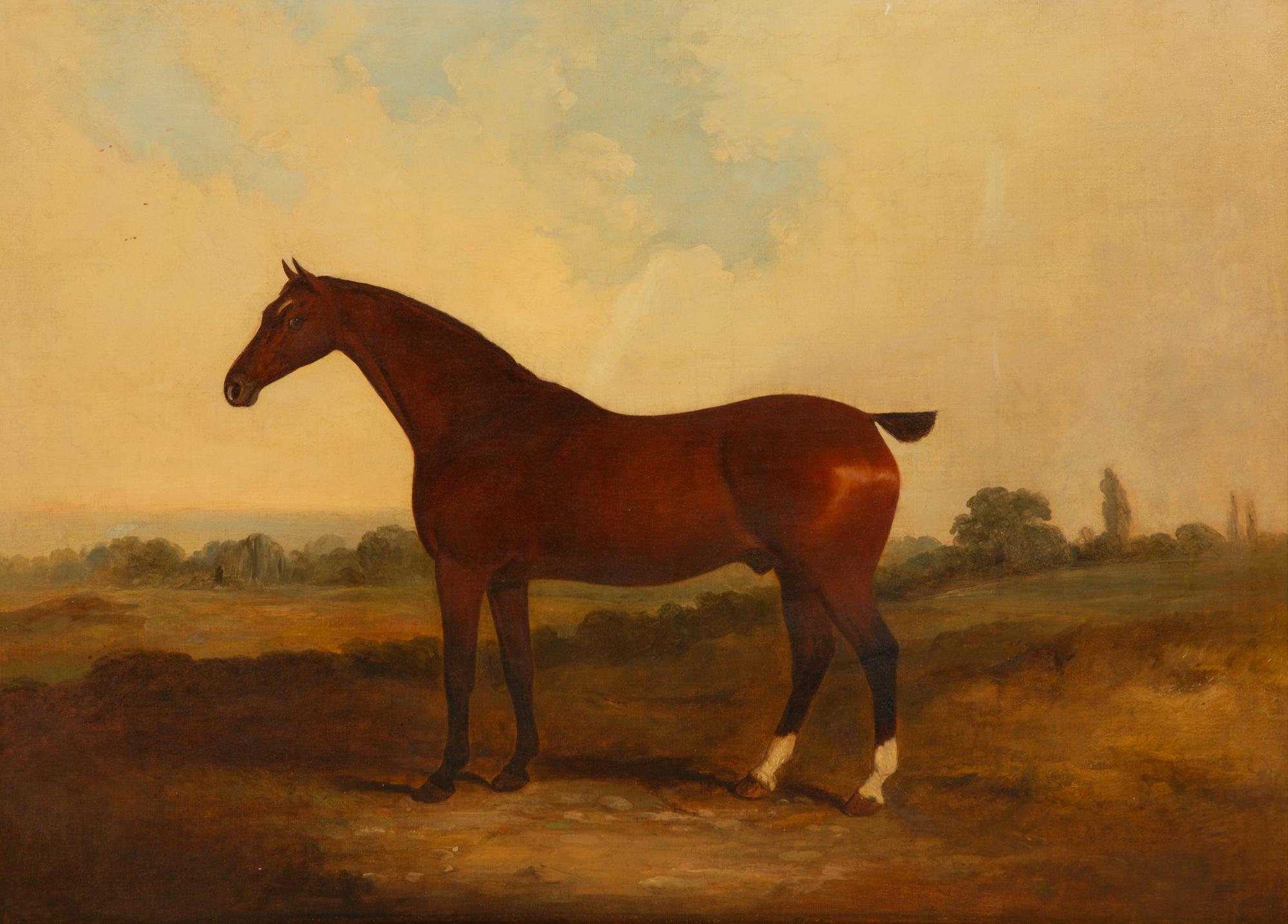 Untitled (Bay Hunter)