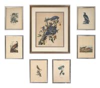 Seven Framed Bird Engravings