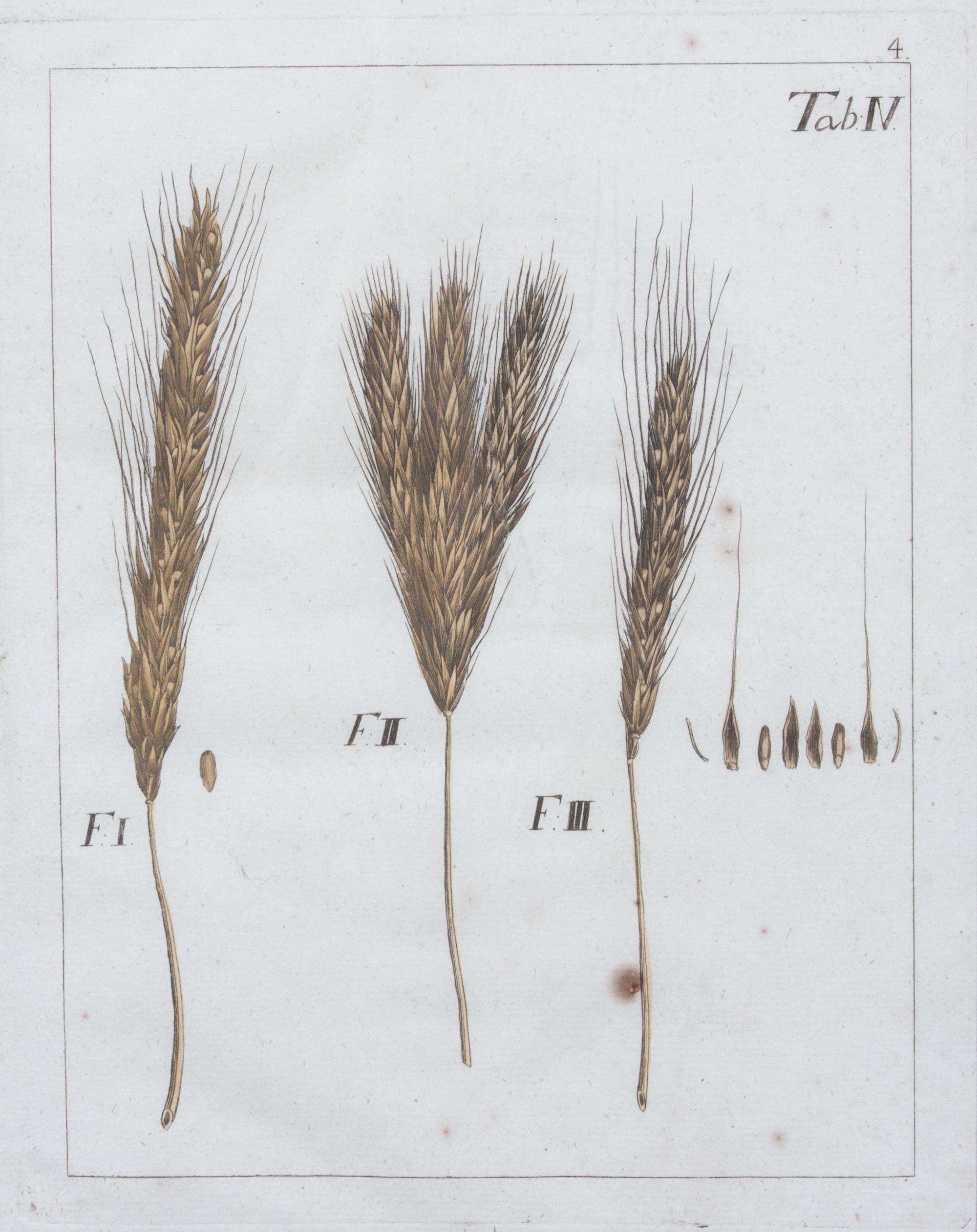 A Collection of Five Agricultural Prints Height of largest frame 21 1/2 x width 17 3/4 inches.