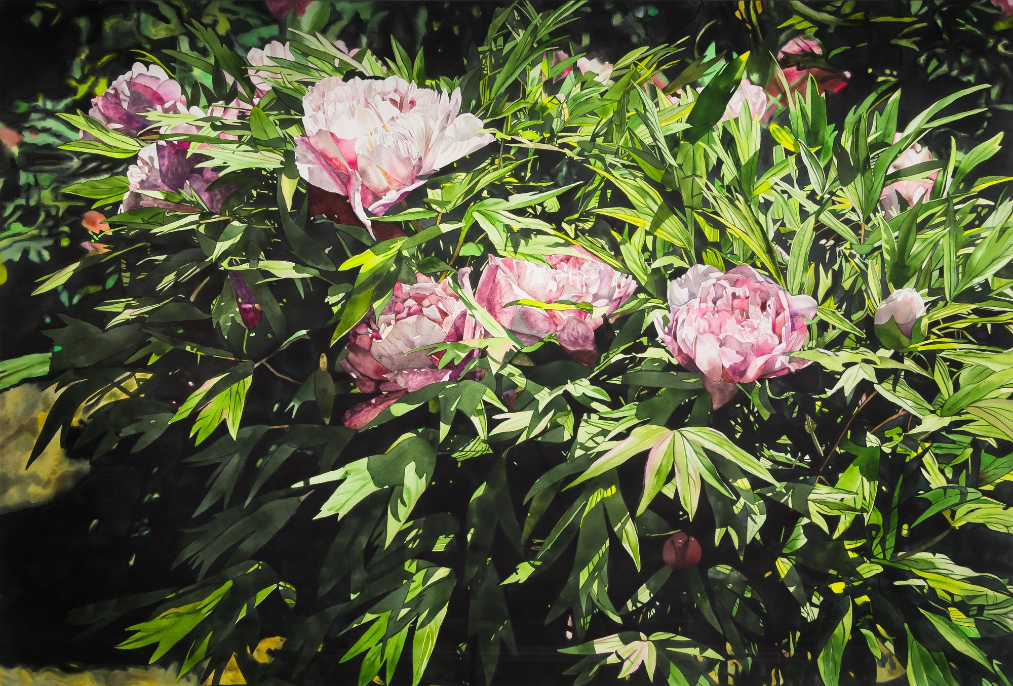 Deborah Rubin, (American, b. 1948), Pink Peonies