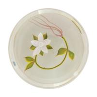 A Paul Stankard White Flower Botanical Glass Paperweight