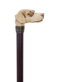 An English Ivory Handled Cane, Length of handle 2 x length overall 25 3/4 inches.