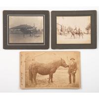 [EARLY PHOTOGRAPHY]. A group of photographs featuring cities, interiors, and landscapes, comprising: