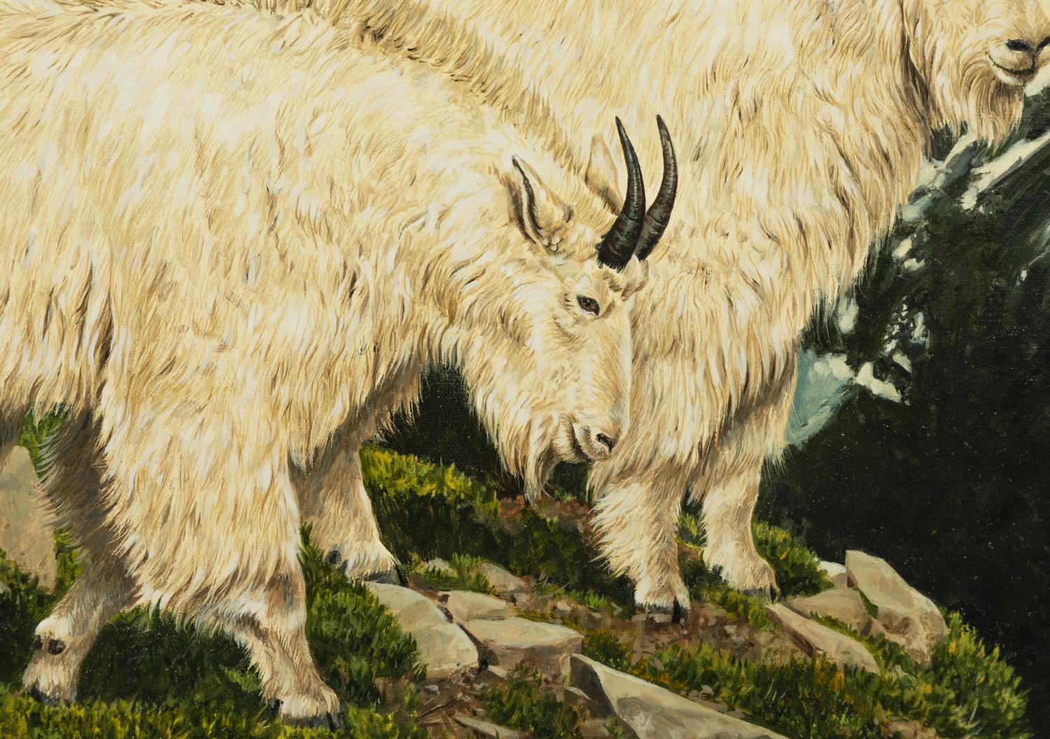 Mt. Goats