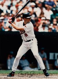 A Cal Ripken Jr. Signed Autograph Photo Formerly Displayed at Mike Ditka’s Restaurant