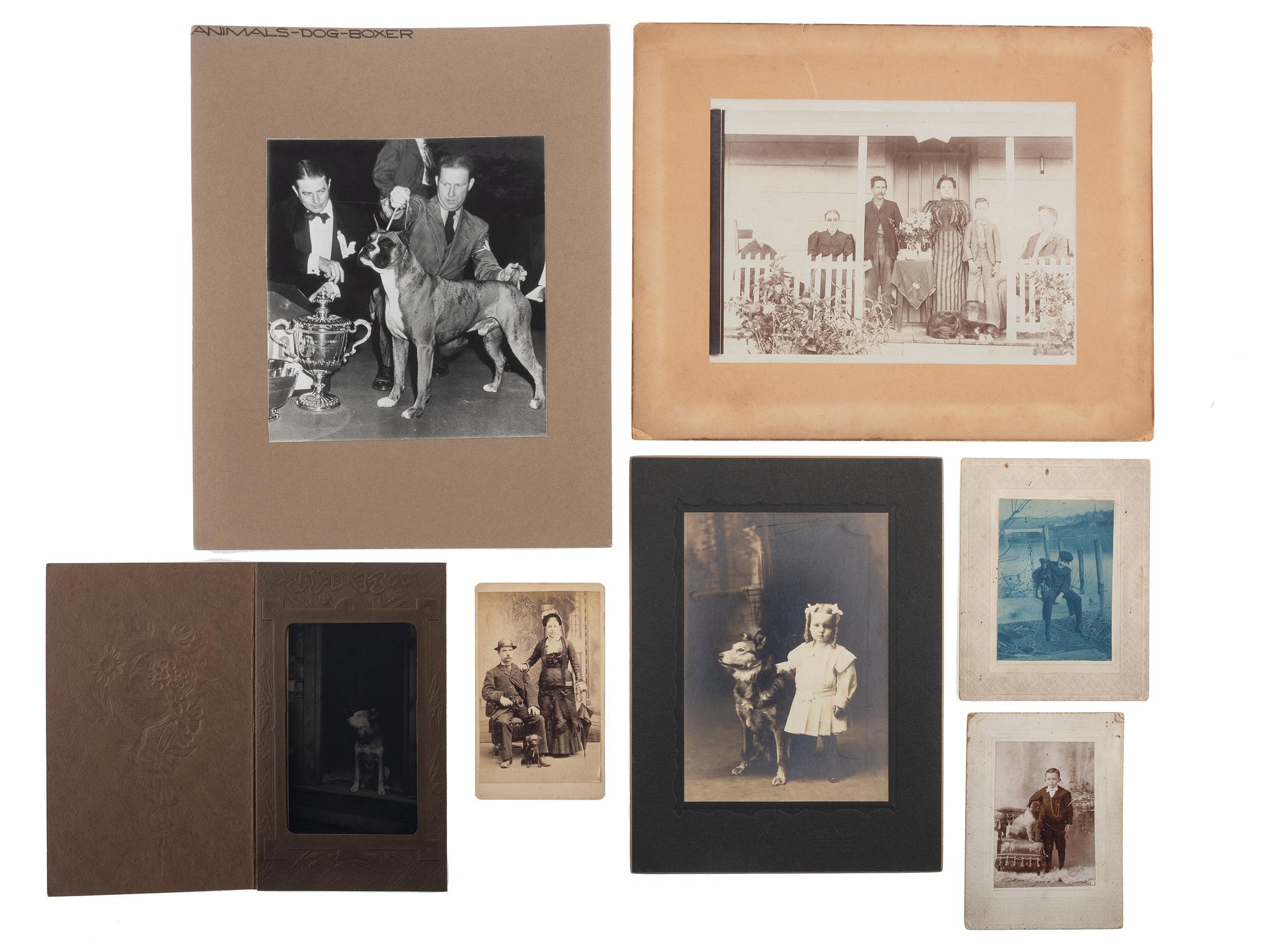 [EARLY PHOTOGRAPHY]. Extensive collection of photographs of dogs with and without their companions. Ca 19th-20th centuries.