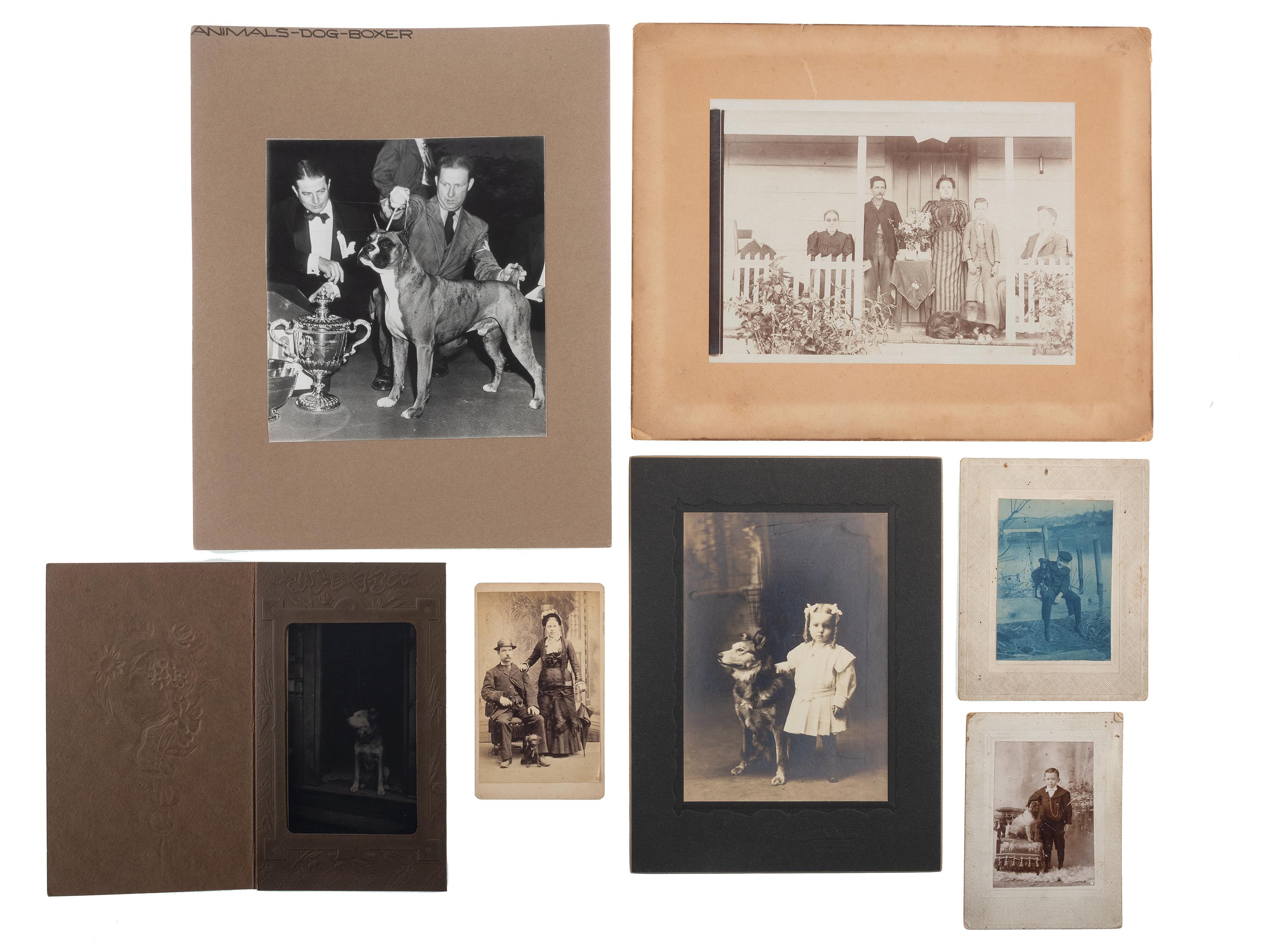 [EARLY PHOTOGRAPHY]. Extensive collection of photographs of dogs with and without their companions. Ca 19th-20th centuries.