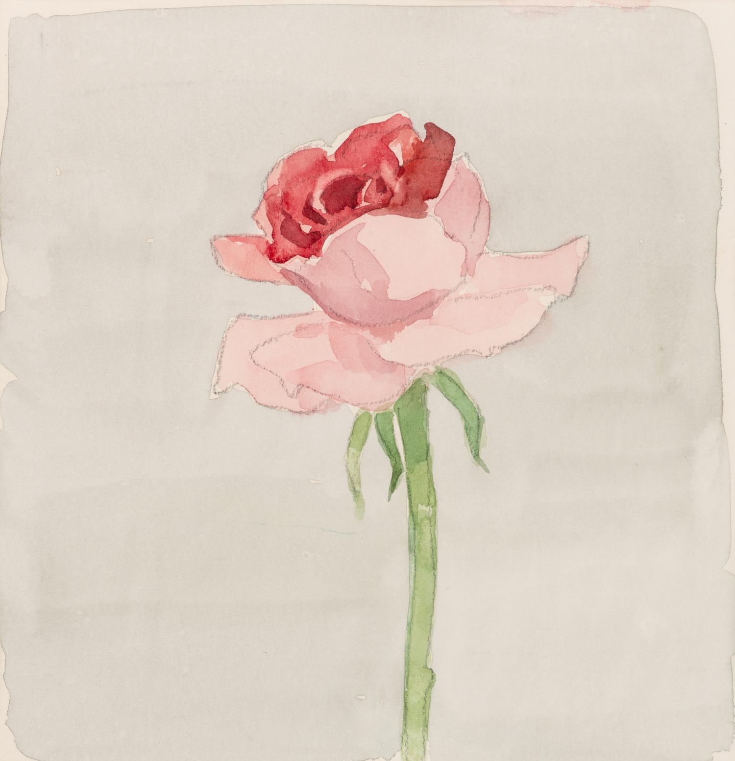 Pink Rose on Grey Ground