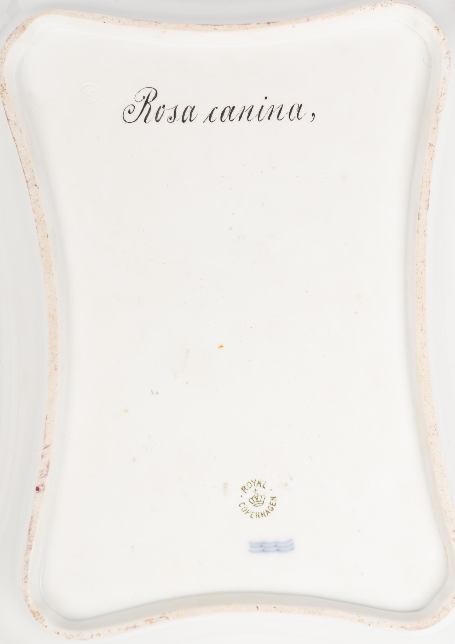 A Royal Copenhagen Flora Danica Porcelain Tray