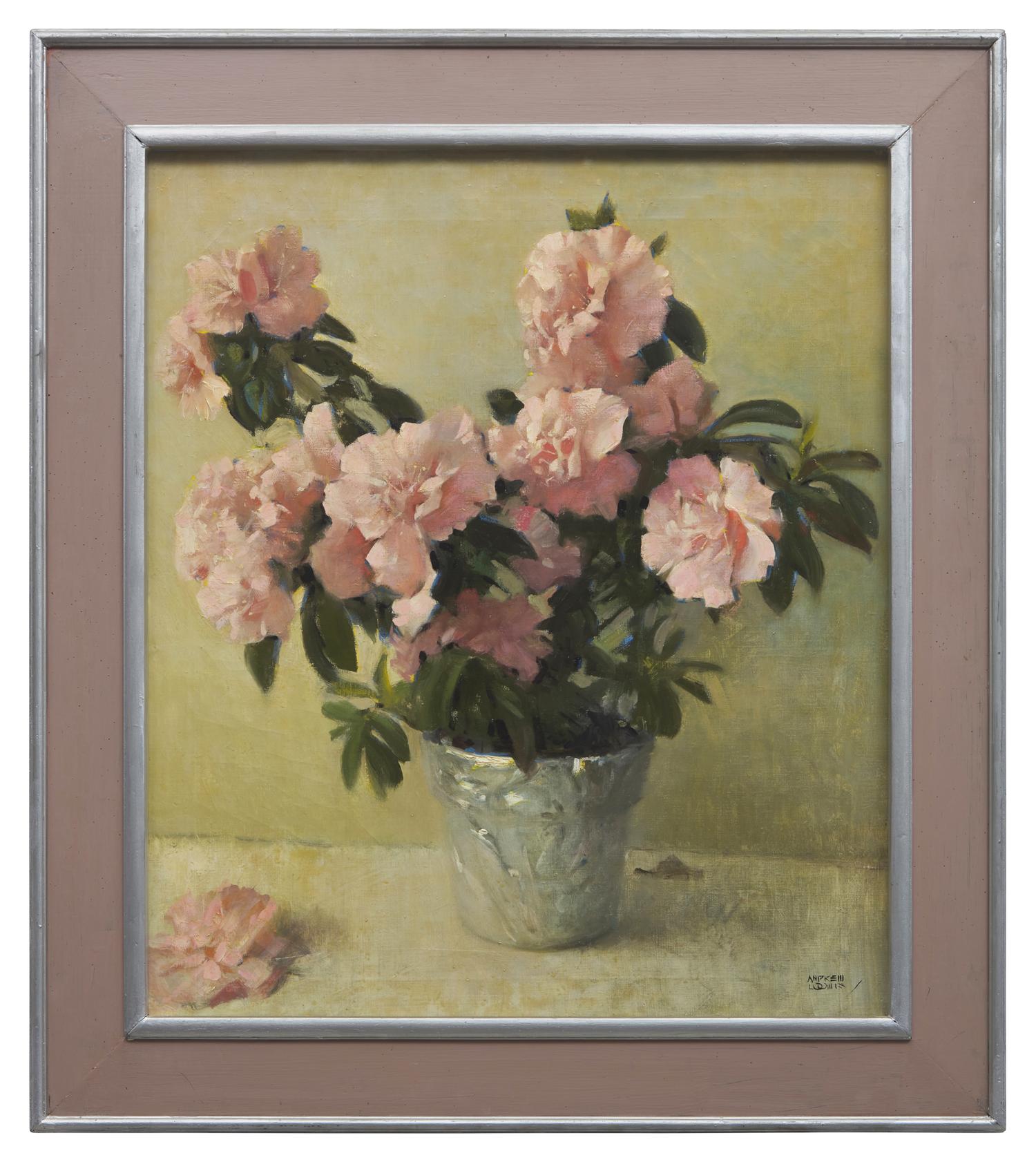 Pink Azaleas