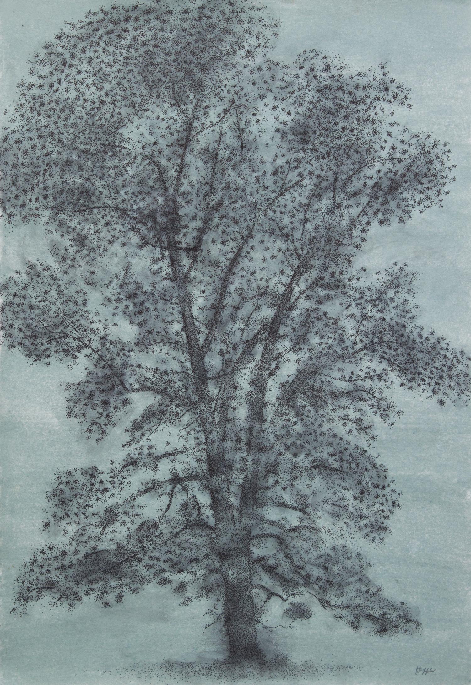 Dudley Huppler, (Wisconsin, 1917-1988), White Oak, together with four others (five works)
