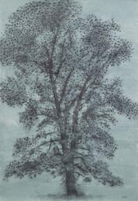 Dudley Huppler, (Wisconsin, 1917-1988), White Oak, together with four others (five works)