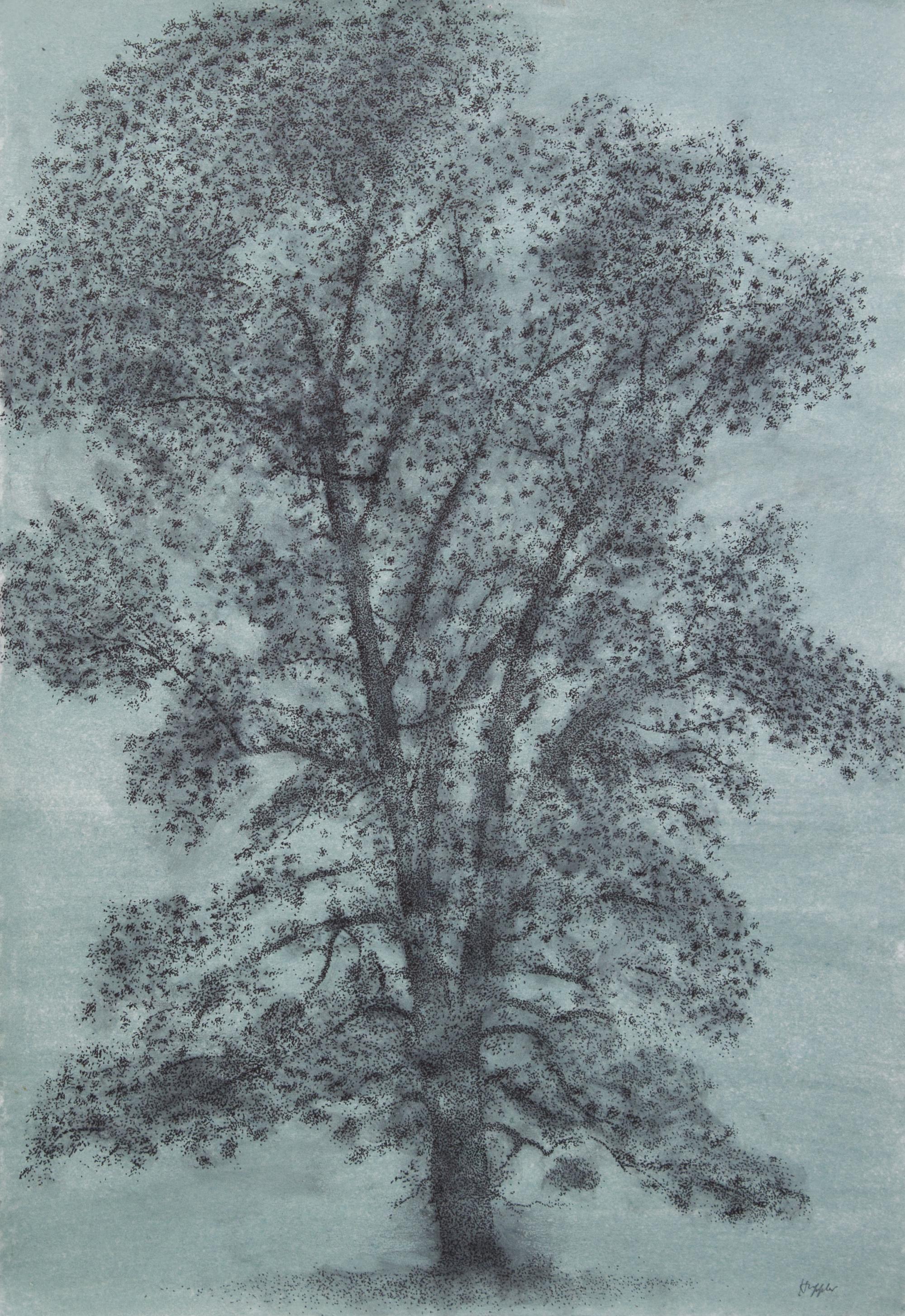 Dudley Huppler, (Wisconsin, 1917-1988), White Oak, together with four others (five works)