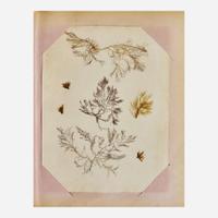 [Curiosa] Miner, Harriet 19th Century Seaweed Specimen Album