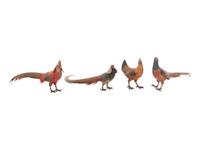 A Group of Four Austrian Cold Painted Bronze Pheasants