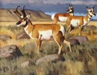 Dave Wade 16 x 20 inches — (American, b. 1952)