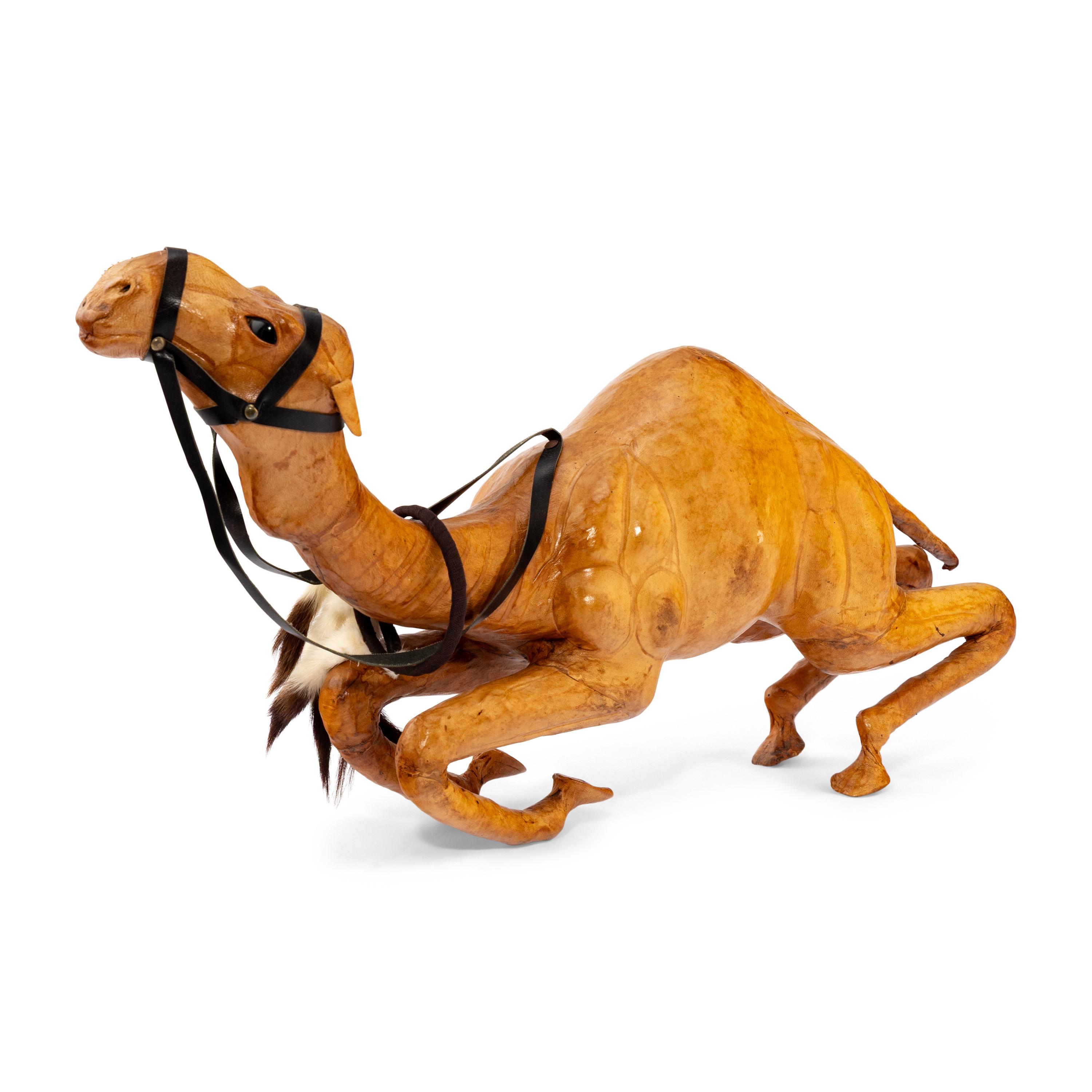 A Leather-Clad Camel Model