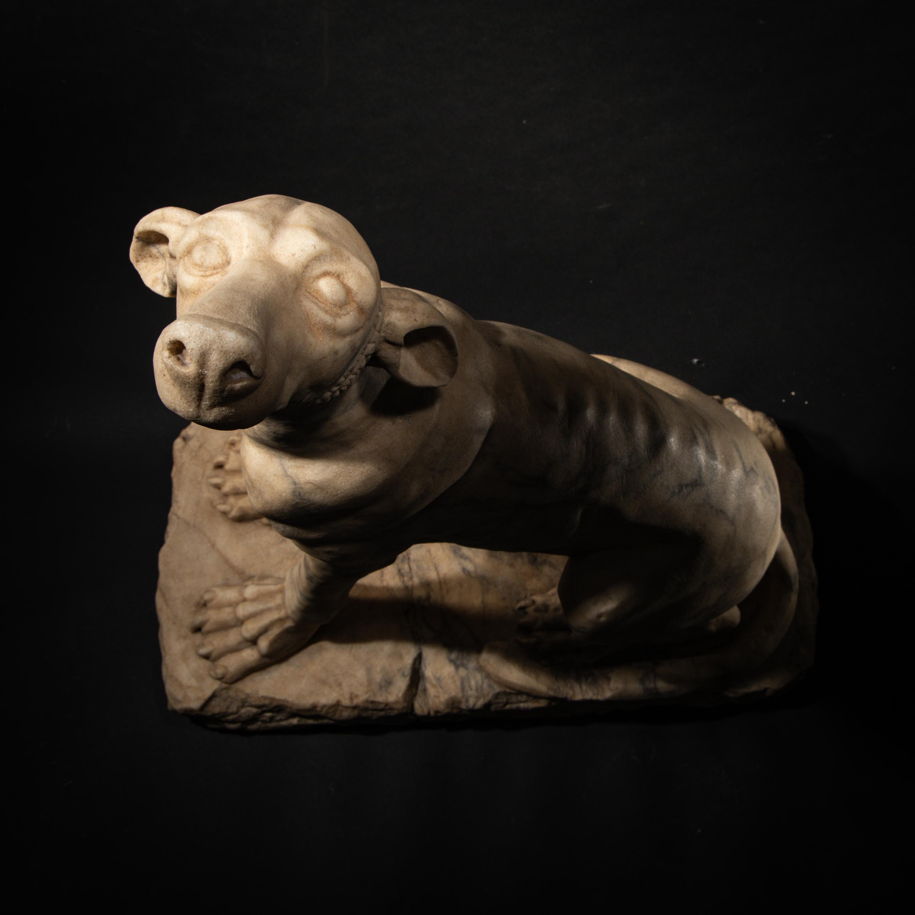 A Roman Pavonazzetto Marble Laconian Hound