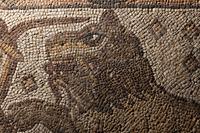 A Late Roman Stone Mosaic of a Lion Hunting Prey