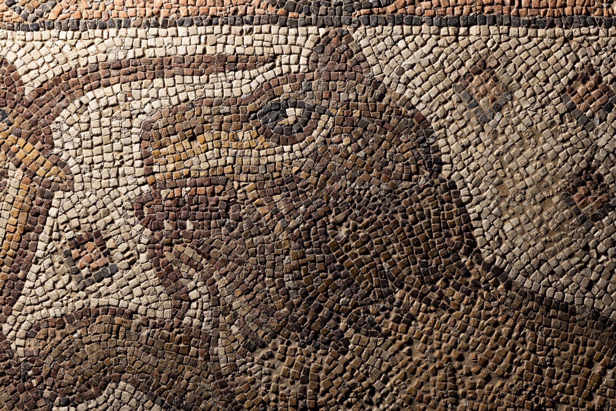 A Late Roman Stone Mosaic of a Lion Hunting Prey