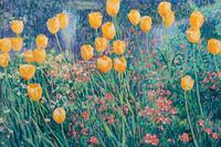 Sam Barber (American, b. 1943)