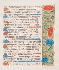 A Group of Book of Hours Leaves on Vellum