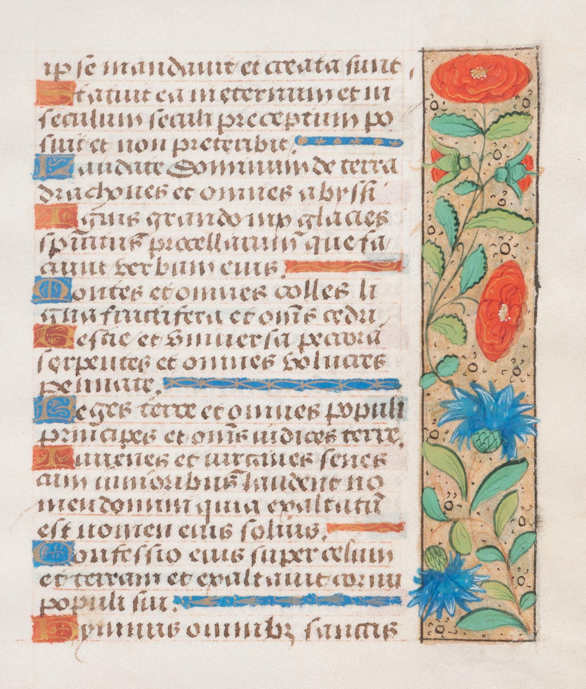 A Group of Book of Hours Leaves on Vellum