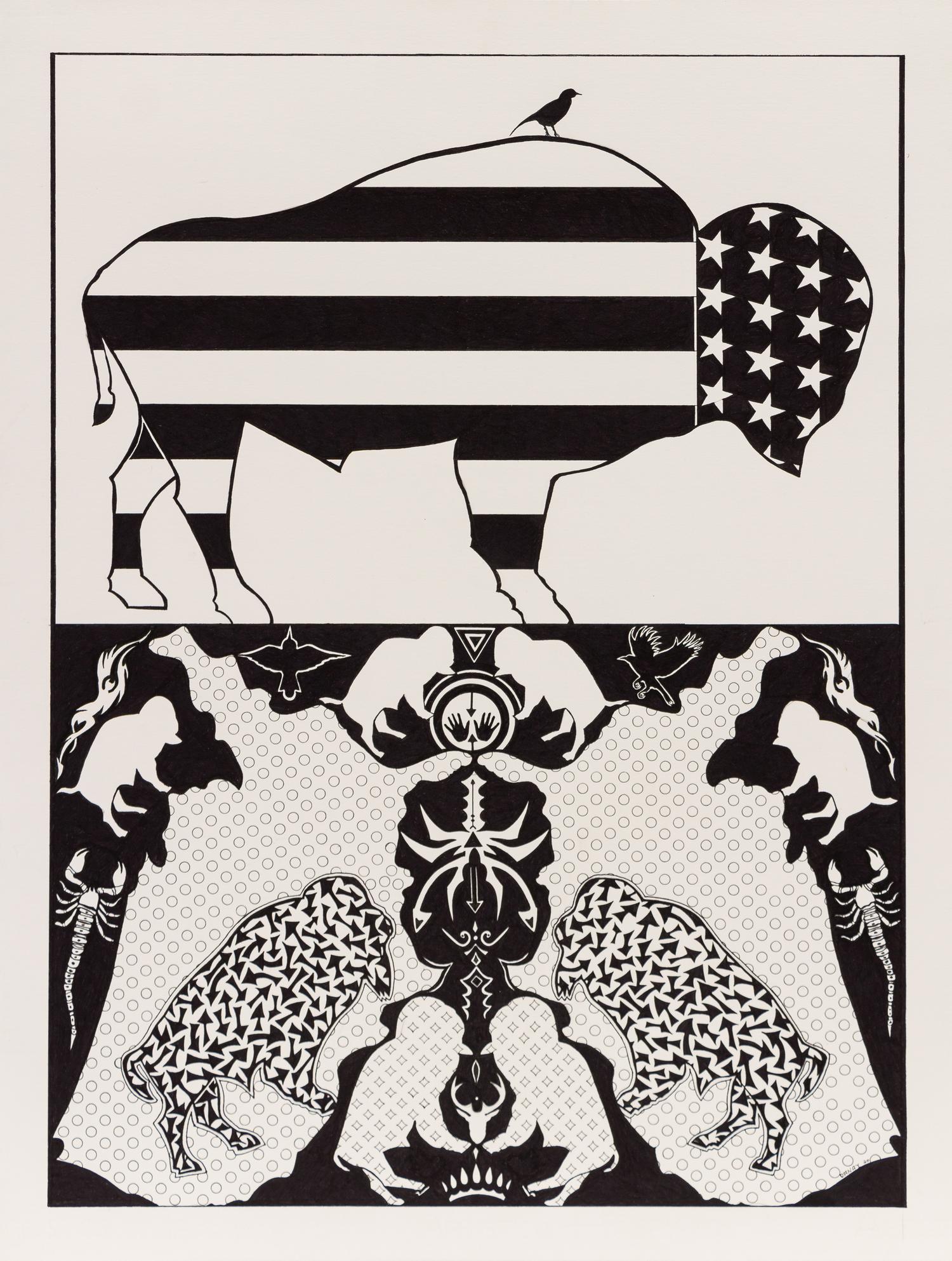American Bison