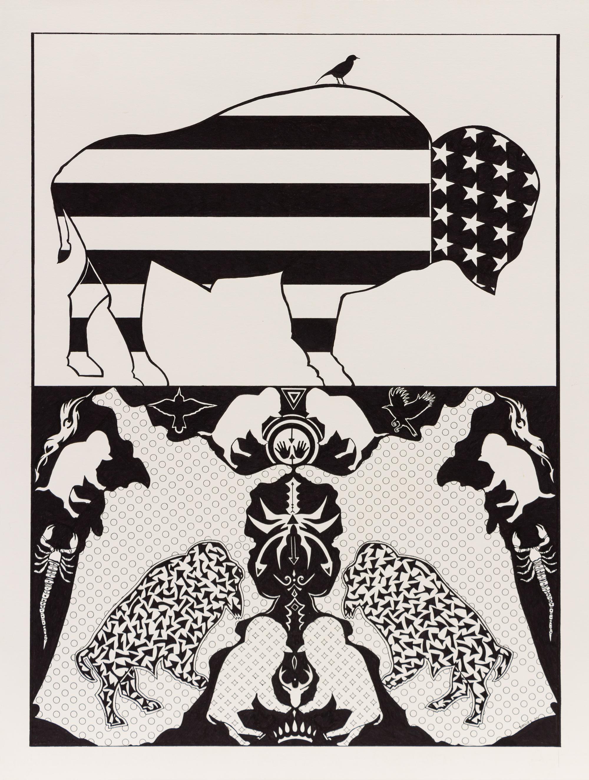 American Bison