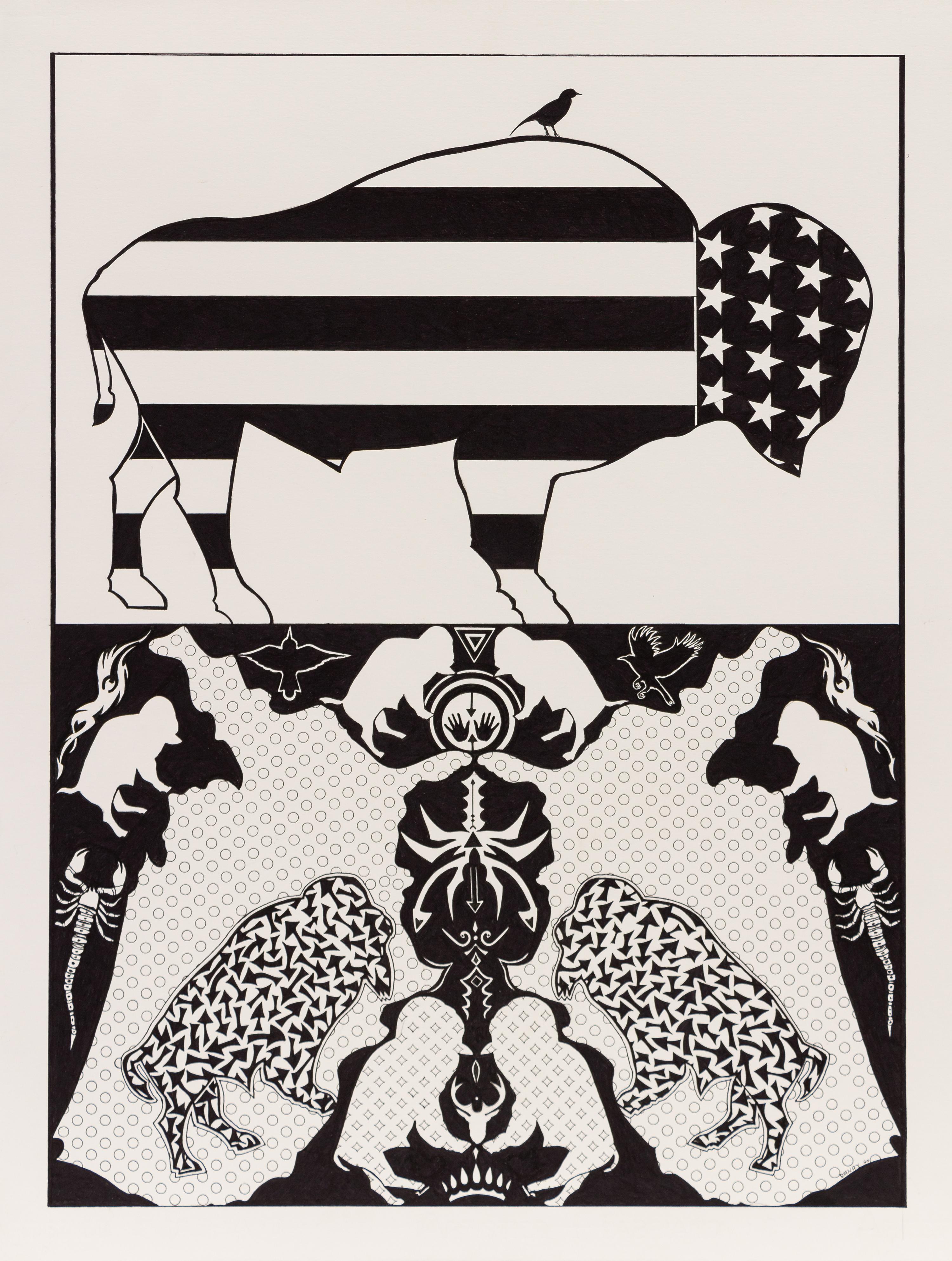 American Bison