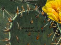 Prickly Perch , 1995