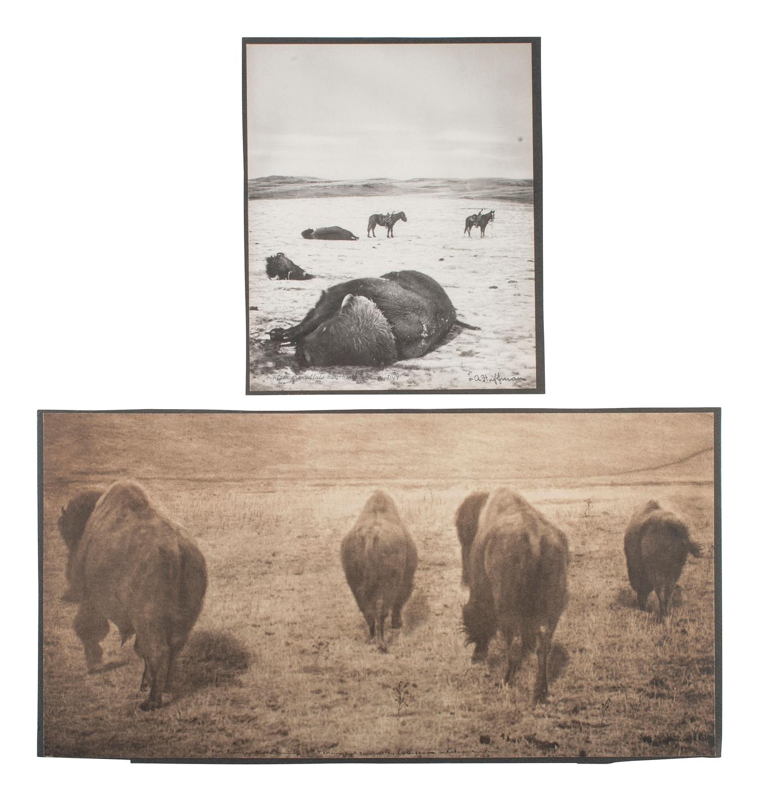 [WESTERN AMERICANA]. HUFFMAN, L.A., photographer. 3 collotypes of buffalo.