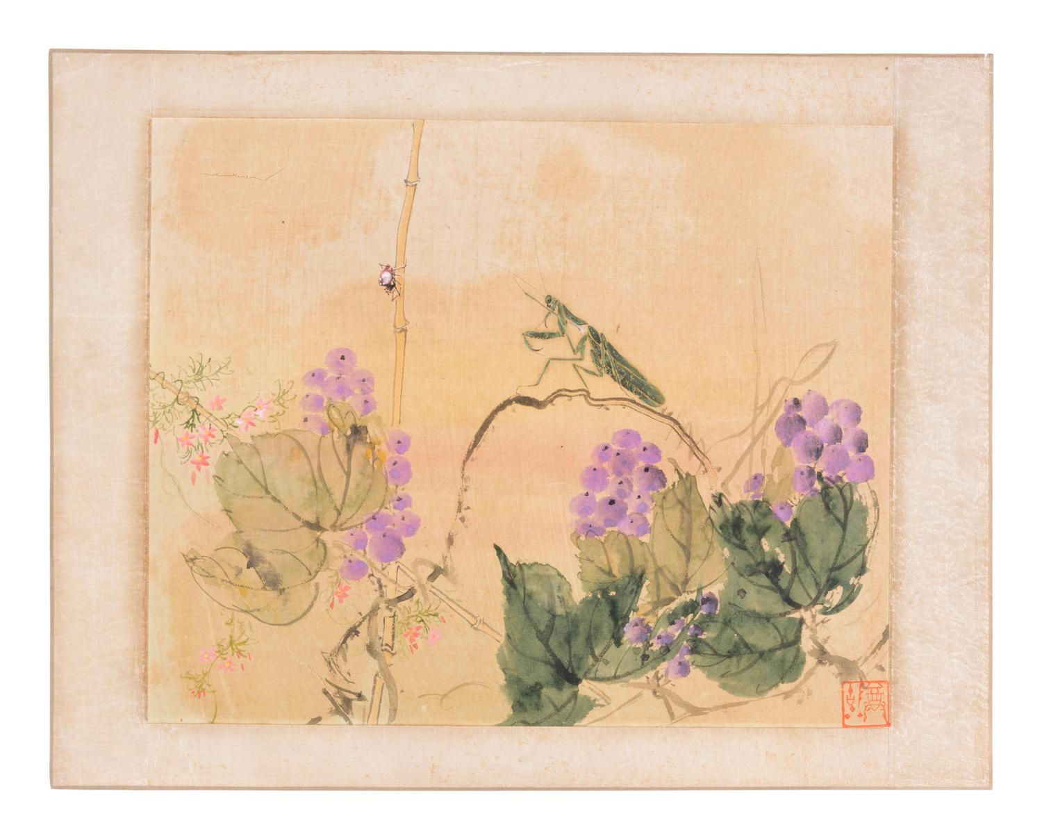 Six Chinese Paintings Depicting Flowers