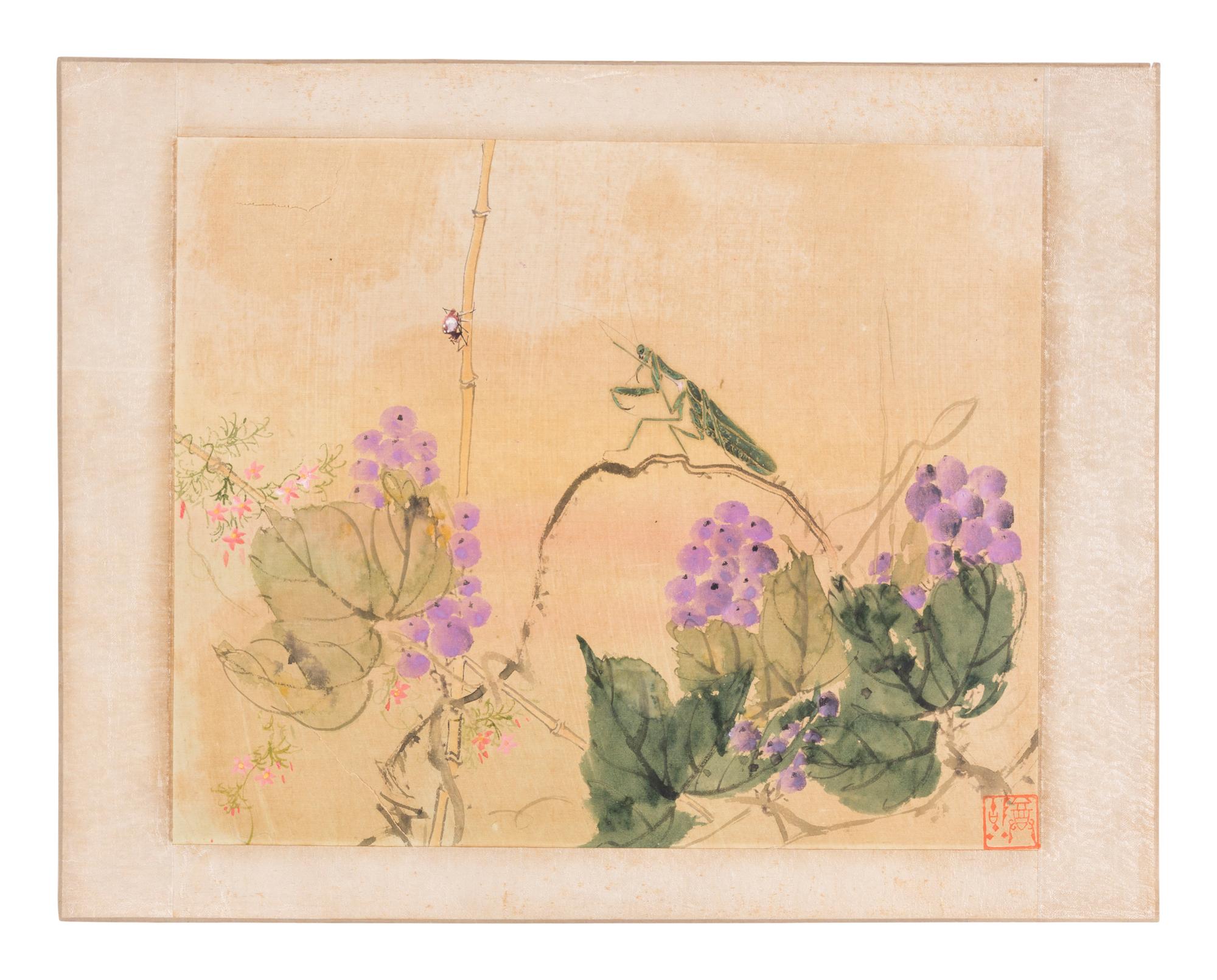 Six Chinese Paintings Depicting Flowers