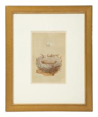 A Set of Six Prints from A Natural History of the Nests and Eggs of British Birds , by Rev. Francis O. Morris, B.A. (Irish, 1810-1893)